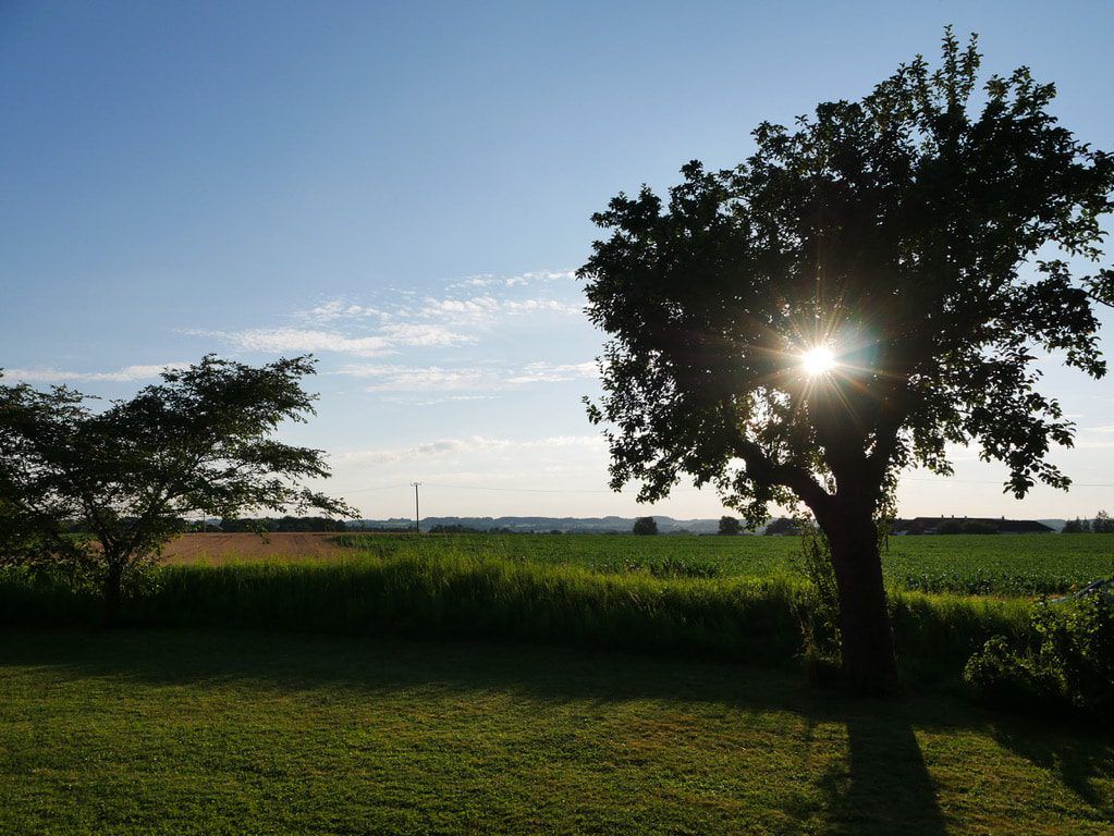 40494592 A83A 461D 8229 166B3CA2285A 1 105 c 0cc64cc6