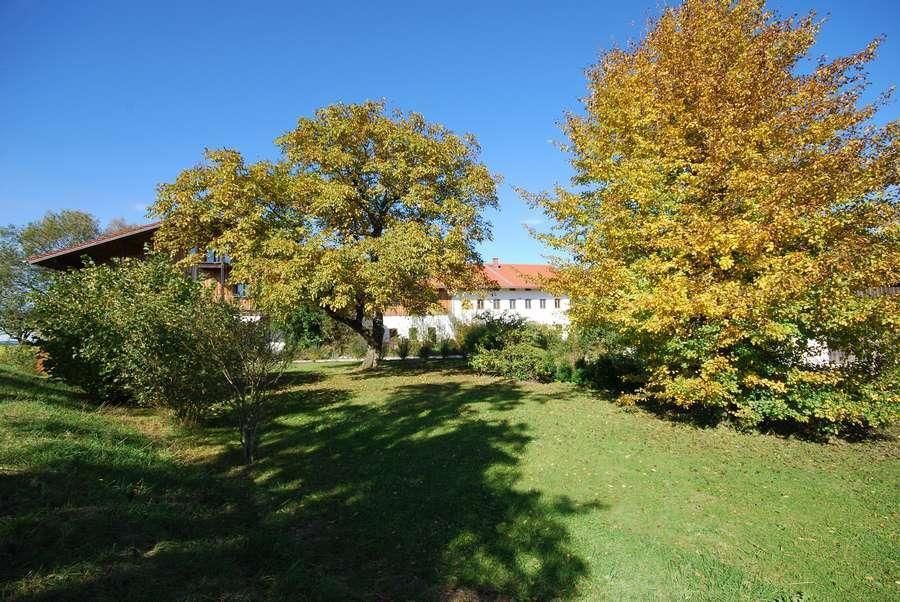 Holzmannstett 388c9c85 7d47f1cb