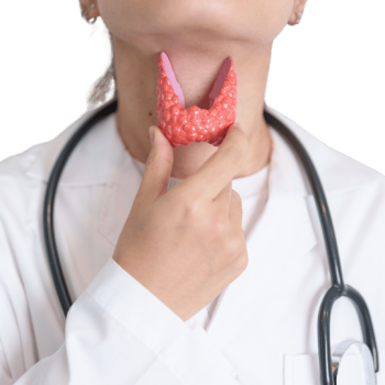 Schilddrüsenwerte verstehen - fT3 fT4 onlinerechner 1 Schilddrüsenwerte verstehen