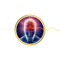 Audiobrainfood 2.0 2 00a06b3b