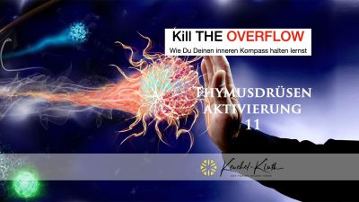 Kill the overflow - Flugmodus im Kopf 15 Thymusdrüse