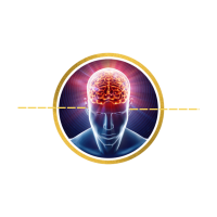 Audiobrainfood 2.0 3 973c307e