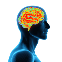 Audiobrainfood 2.0 5 gehirn6 bc767e03