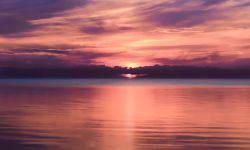 Reiki-Austauschtreffen