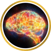 Audiobrainfood 2.0 1 gehirn2 f658d28e